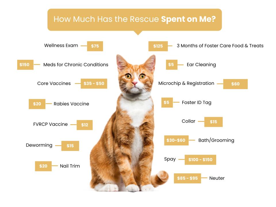 Cardinal Grace Animal Rescue - Fee Graphic copy